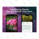 NatureID Plant Identification Premium Plan: Lifetime Subscription | $20 | StackSocial
